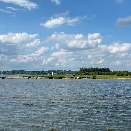 In With Wifi Ferienhaus Tolk