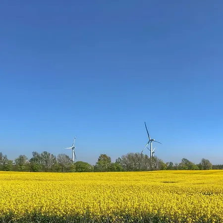 Ferienhaus In With Wifi